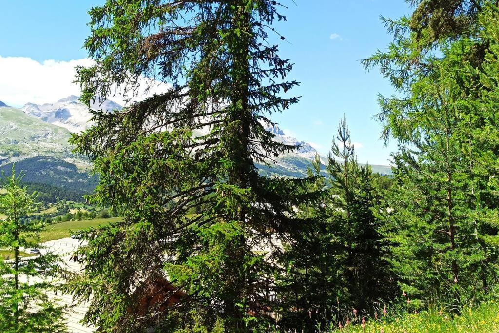 Appartement Duplex Au Pied Des Pistes Ле-Деволюї Екстер'єр фото